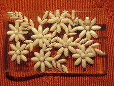 BROCHE ancienne LUCITE gravée
