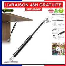 Vérin à Gaz 300N pour