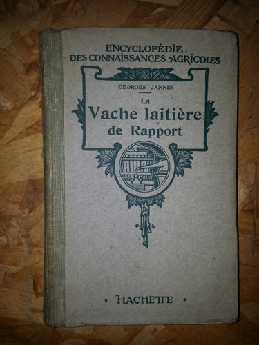 Vache laitière rapport - vache,