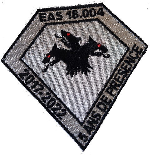 Patch anniversaire ans eas - ans,