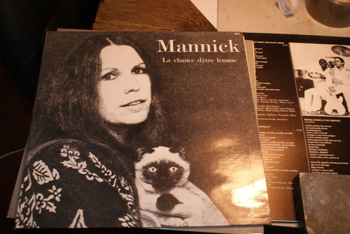 Disque vinyle 33t mannick - vinyle,