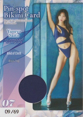 Yasuyo saito luminous - yasuyo,