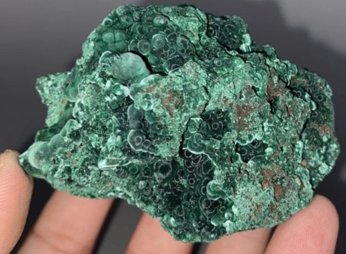 Belle malachite botryoidale - belle, et