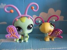 PETSHOP  DUO : CHENILLE