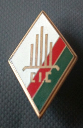 Insigne cic du 4eme - insigne,