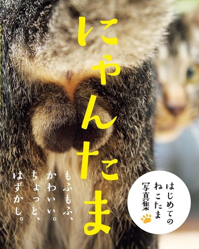 Picture book for the - picture,
