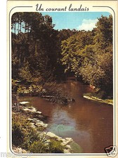 Un courant dans la forêt