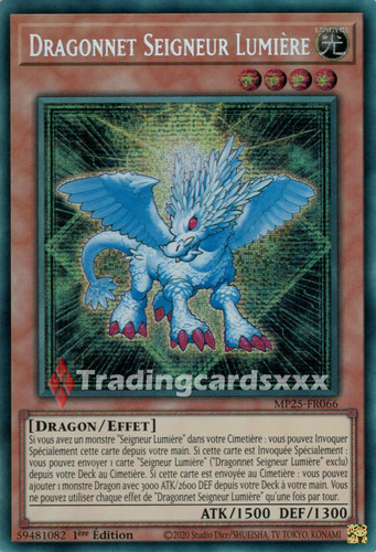 Dragonnet seigneur - dragonnet,