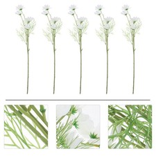 Bouquet de fleurs sauvages