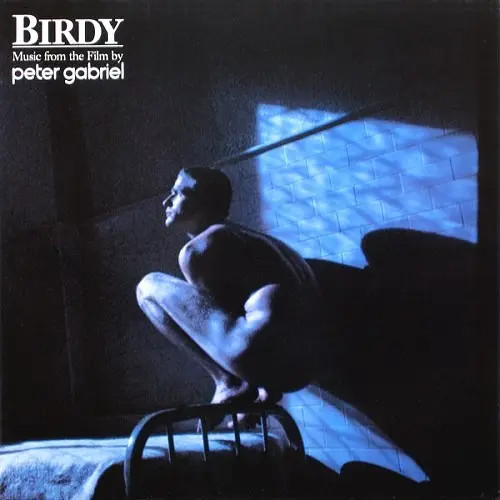 Peter gabriel birdy vinyle - lp,