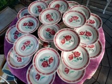 25 Assiette Plate Porcelaine Opaque Badonviller Floral Rose Rouge Bleu Gris 23cm