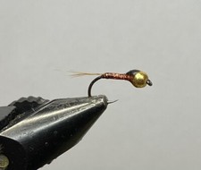 Nymphe Perdigone La Madeira