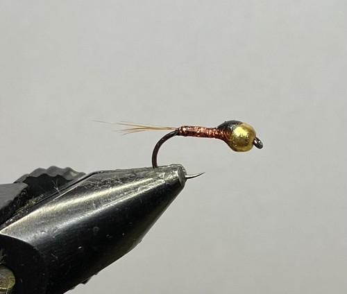 Nymphe perdigone madeira - nymphe,