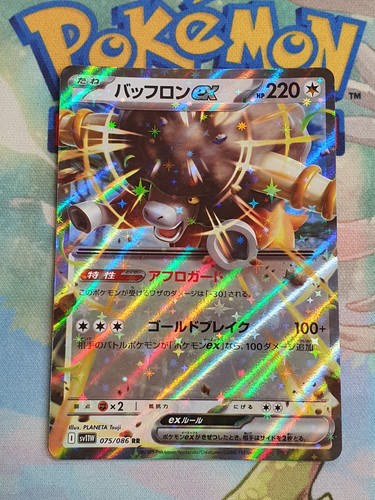 Carte pokemon frison - pokemon,