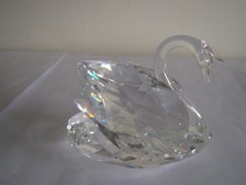 Joli Cygne de la maison