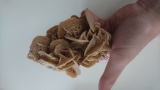Rose des sables - , pierre