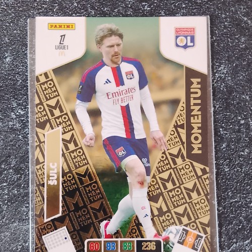 Panini adrenalyn ligue 1 - xl,