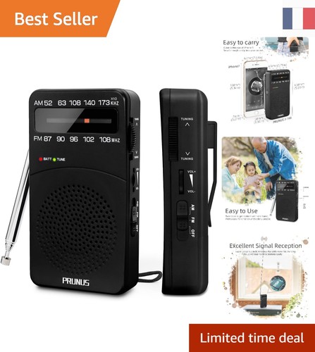 Prunus 166 radio - prunus, j-166