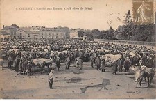 49.AM18621.Cholet.N°17.Marché aux boeufs.1748 têtes de bétail.Agriculture
