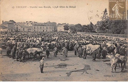 49.AM18621.Cholet.N°17.March?