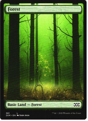 Forest 381 land double - forest,