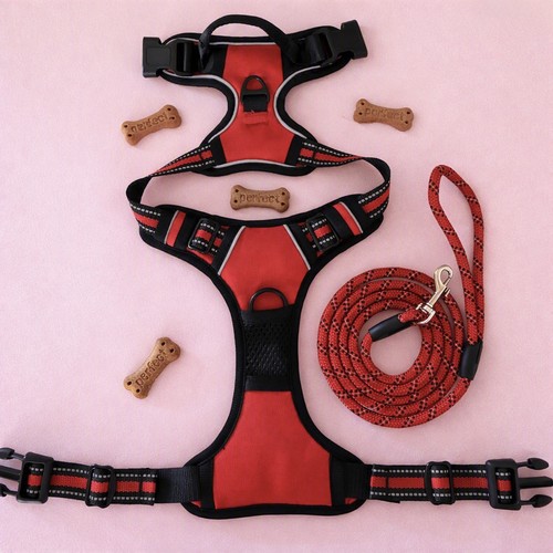 Set harnais chien - set, rouge|