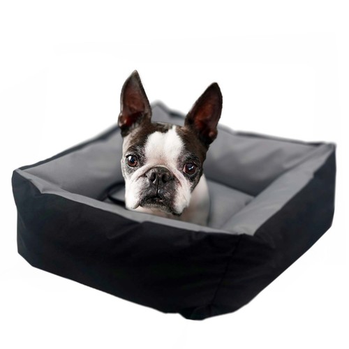 Boîte transport pour chien - transport,
