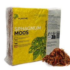 Mousse de sphaigne pour