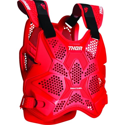 Thor 2701 1310 - thor, pro