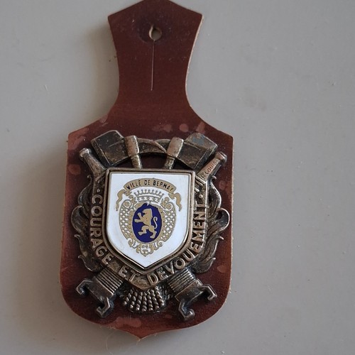 Insigne sapeurs pompiers ville - sapeurs,