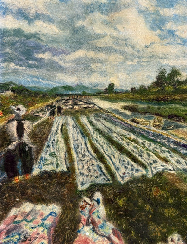 Paysage champ femme vie - paysage,