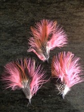 une plume rose faisan perdrix