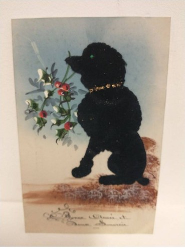 Chien fg54697 caniche noir - #fg54697,