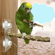  Wood Bird Perches Parrot