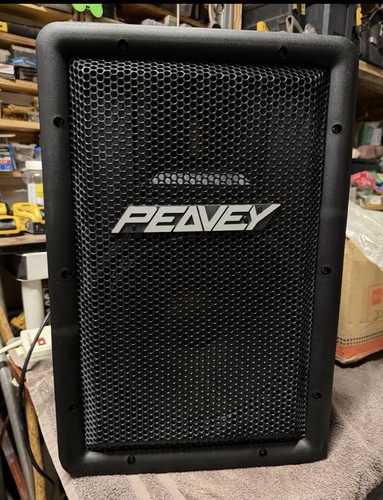 One peavey stadia - peavey, t