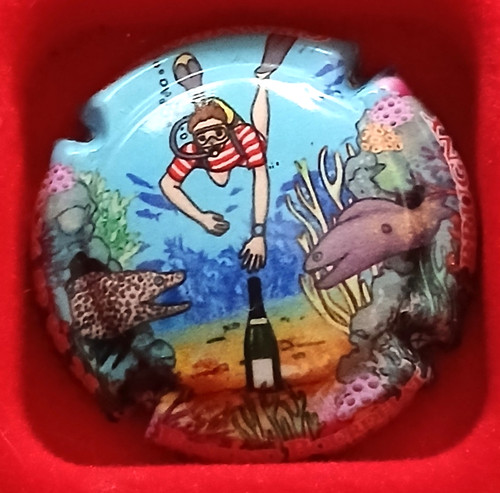 Capsule champagne edmond - champagne,