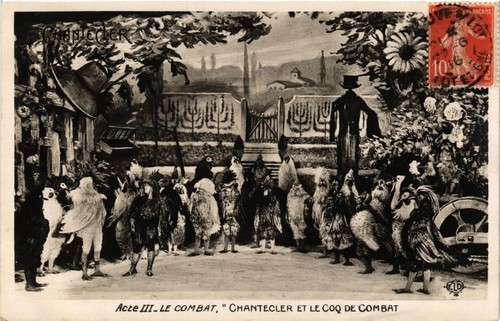 Cpa chantecler coq de - ak,