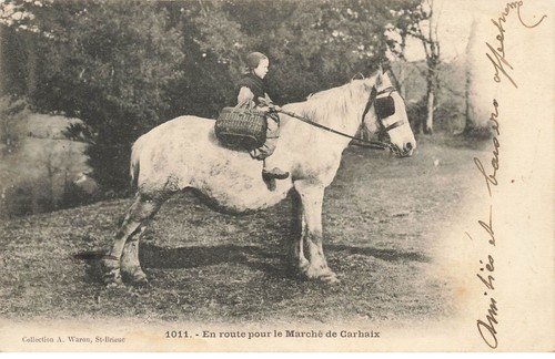 Carhaix 27446 en - 29, #27446