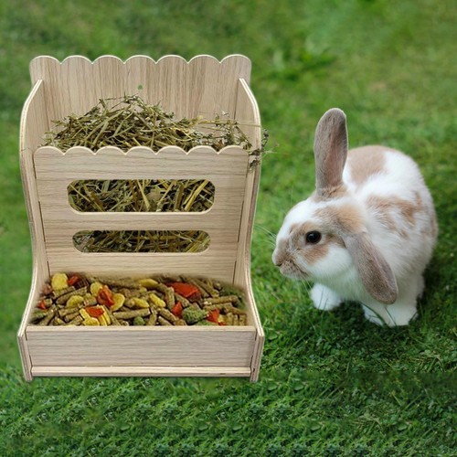 Mangeoire foin pour lapin - foin,