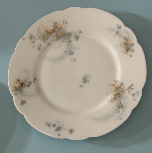 Porcelaine theodore haviland - porcelaine,