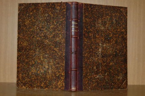 Neumann 1885 cours sur - :,