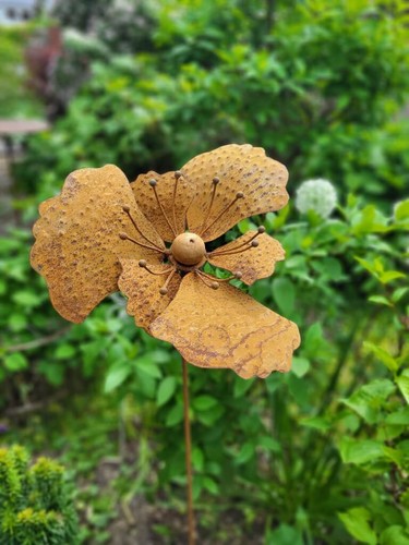 Rouille noble éolienne - , fleur
