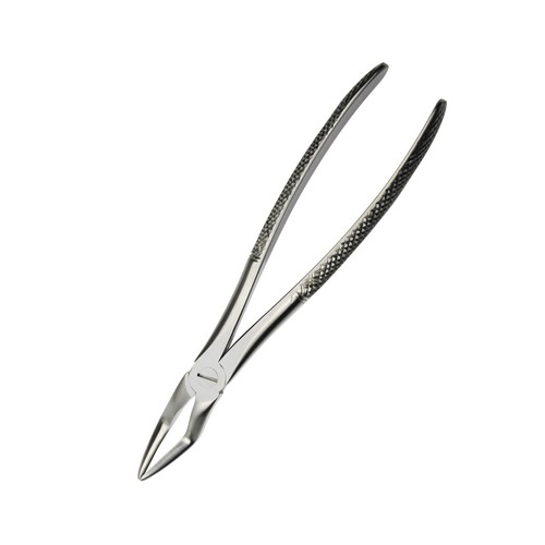 Dentaire chirurgie dents - dentaire,