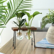 Rustic Plant Terrarium with