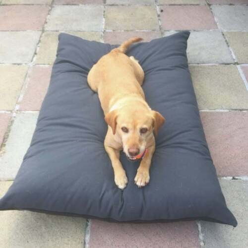 Pet coussin lit chien chat - lit,