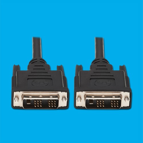 Câble plug dvi maplin mâle - dvi-d,