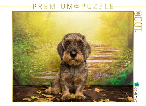 Puzzle calvendo teckel - calvendo, poil