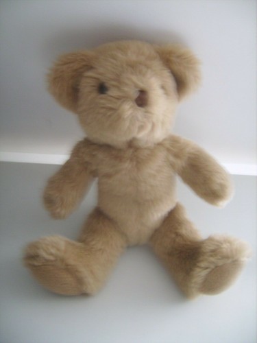 Ours peluche the teddy - en,