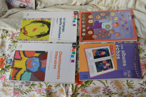 Lot livres de pédagogie - 4,