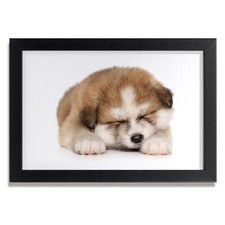 Tulup photo 30x20cm - tulup, décor